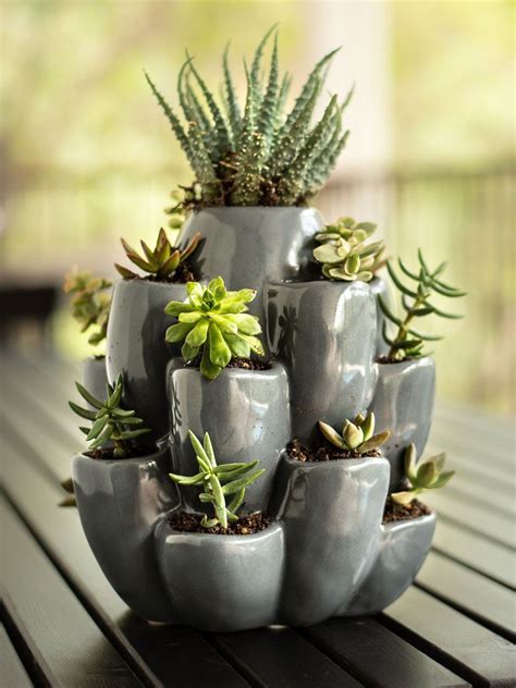 Exaco Cacti Planter Garden Pottery Ceramic Succulent Cactus Planter