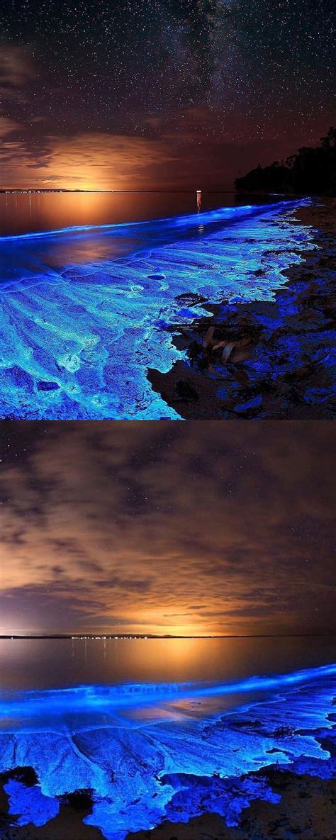 Bioluminescence In Jarvis Bay Australia Ifttt2uem8bz