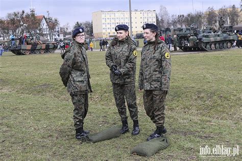 W przededniu święta wojska polskiego w witnicy zorganizowano piknik wojskowy. Zdjęcia: Piknik wojskowy, Fot. 59 - info.elblag.pl