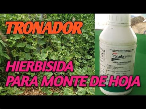 Tronador Herbisida Para El Monte De Hoja Finca Las Flores El Salvador