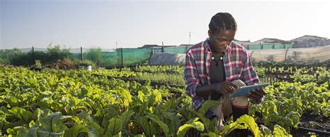 Innovative Services That Are Supporting Agriculture In Africa Hello