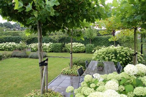 Mooie Boompjes Voor De Voortuin Tuin Bomen En Hagen Tuin Idee N Tuin En Witte Tuinen