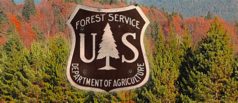Crafting A New Forest Service Unwinding The Forest Health Crisis In