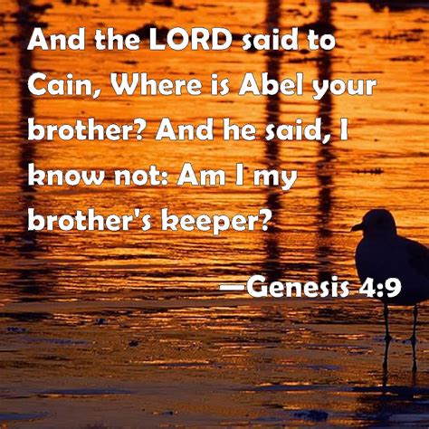 Genesis 49 And The Lord Said To Cain Where Is Abel Your Brother And He Said I Know Not Am I