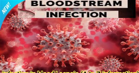Infection In Blood Sepsis Signs Of Blood Infection A To Z Guide