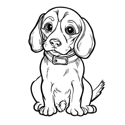 Desenhos De Um Cachorro Beagle Fofo Para Colorir E Imprimir