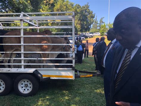 Cyril ramaphosa latest breaking news, pictures, photos and video news. WATCH: 'This is a historic occasion,' said President ...