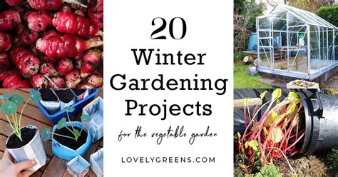 20 Winter Gardening Ideas For The Vegetable Garden • Lovely Greens