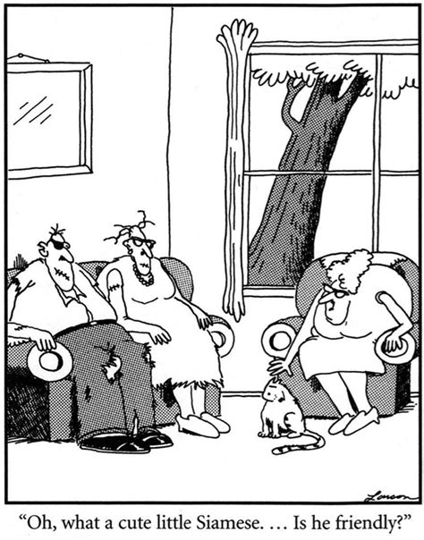 13 The Far Side Comic Strips Featuring Cats
