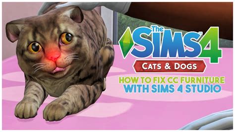 Sims 4 Cats And Dogs No Custom Content Beds Pasehotel