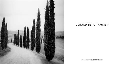 Gerald Berghammer Black And White Photography Cypress Trees Avenue