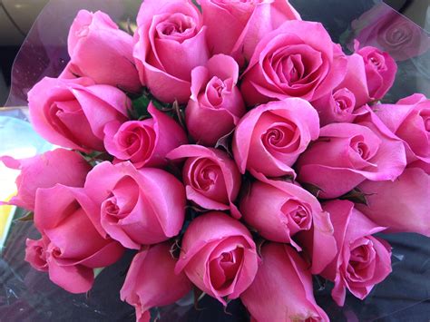 Pink rose flowers art photos. Beautiful rose bouquet public domain free photos for ...