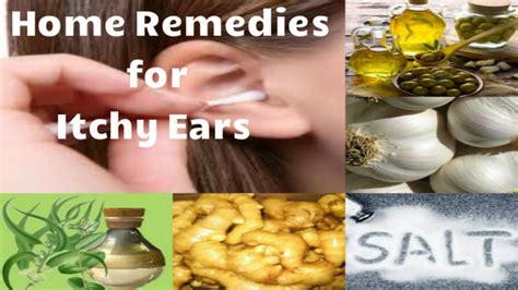 Home Remedies For Itchy Ears Kaan Mai Khujali Ke Upay