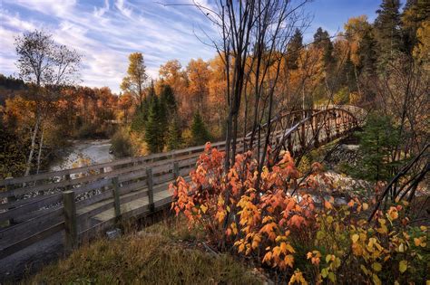 Bridge Canada Fall Forest River Wallpaper Resolution5120x3413 Id