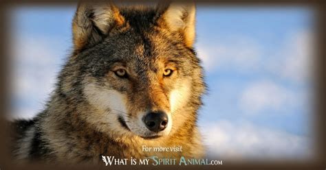 Wolf Symbolism And Meaning Wolf Spirit Animal And Totem