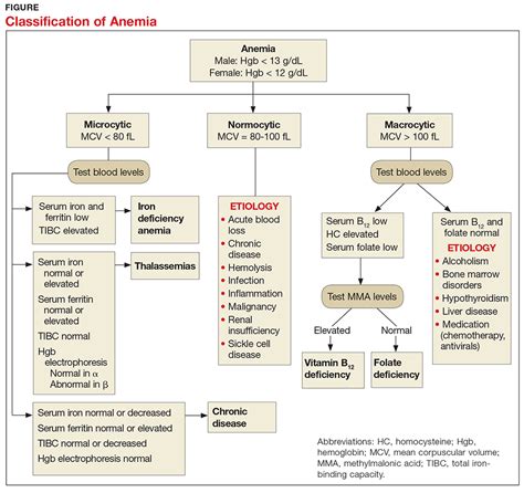 Diagnosing And Classifying Anemia In Adult Primary Care Clinician Reviews