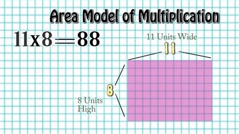 An area model is used to show a representation of multiplication or division. Area Model of Multiplication Definition - YouTube