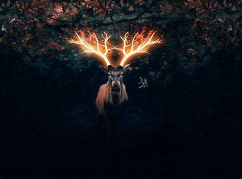 Fire Glowing Deer Photo Effect In Photoshop Speed Art By Tanzeel