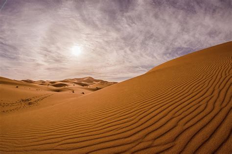Sahara Photograph By Eloina Viveros Fine Art America