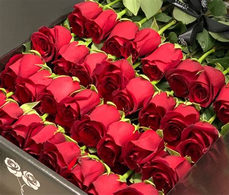 long-stem-luxury-roses-in-a-box-roses-that-last-a-year-rose,-box-roses,-red-roses