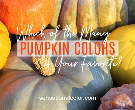 Different Color Pumpkins Kellywon