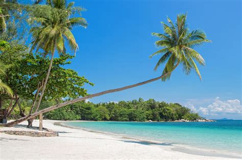 Bintan Resorts White Sand Beach Mangroves And More In Indonesia Tan My Xxx Hot Girl