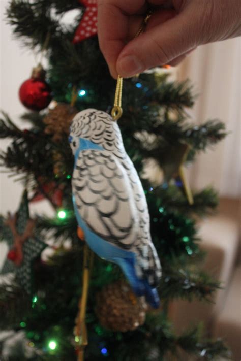 Budgerigar Ornament Parakeet Ornament Parakeet Figurine Etsy