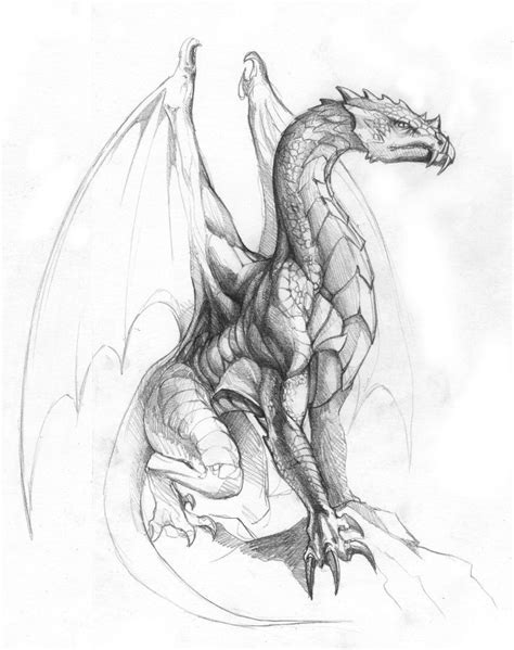 That is why in this post, we will learn how to draw dragon drawings and will check out some famous stars like angelina jolie, lenny kravitz, and pink with the dragon tattoo would not be as cool or charismatic without the dragon drawing etched. Example of a dragon drawn | Dragon illustration, Dragon ...