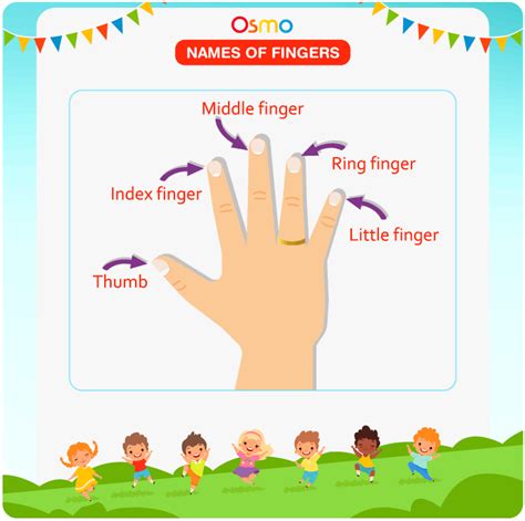 Names Of Fingers List Of Hand Finger Names In English