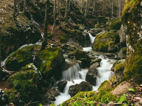 Free Stock Photo Of Mountain River Forest Rock Green Moss Waterfall