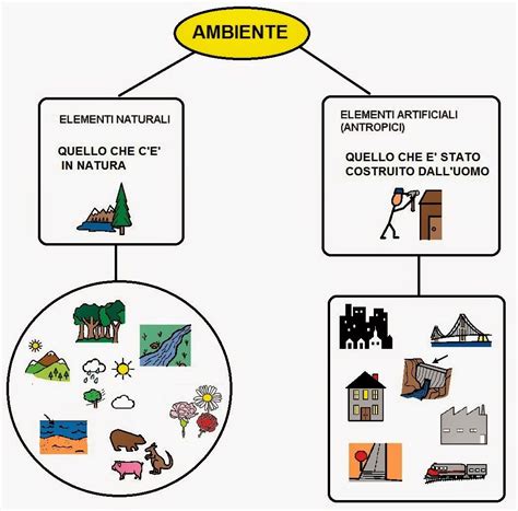 Tutti gli aromi utilizzati nell'industria alimentare, siano essi naturali o artificiali, vengono analizzati per verificare l'assenza di effetti tossici e le analisi. Elementi Naturali Ed Elementi Artificiali - Lessons - Tes ...
