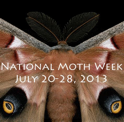 Shappellecology National Moth Week July 20 28