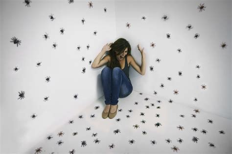 Phobias Are A Common Mental Illness Mental Health Health Journal