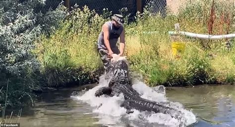 Monster Alligator Weighing 800lbs Sets New State Record In Mississippi