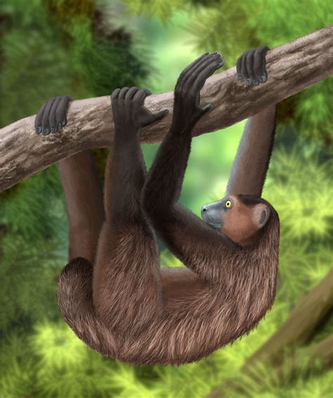Researchers Find Unique Ancient Rock Drawing Of Extinct Sloth Lemur