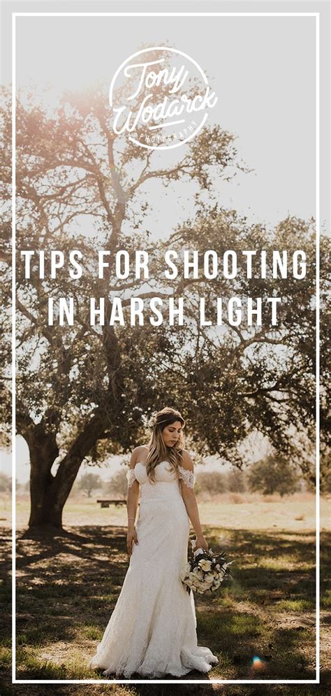 Tips For Shooting In Harsh Light