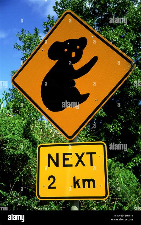 Road Sign With Koala Bear Australia Stock Photo Alamy