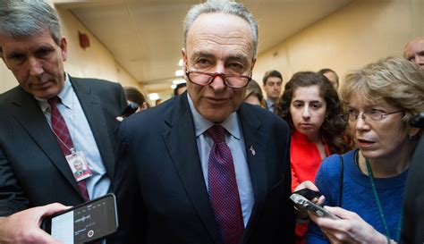 Chuck Schumer Bashes Trumps Extremely Irresponsible Voter Fraud
