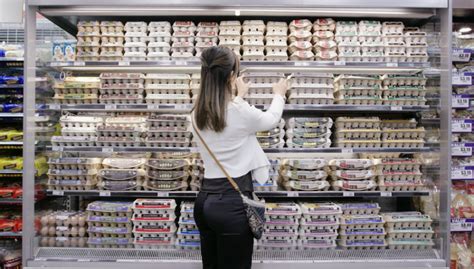 egg types and labels a guide for choosing the right eggs