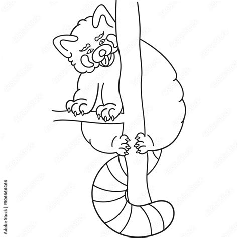 Cute And Chubby Red Panda Vector Line For Postcards For Printing For