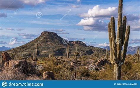 Desert Landscape With Butte Rocks And Cactus Stock Photo