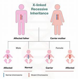 Different Types Of Inheritance Pattern