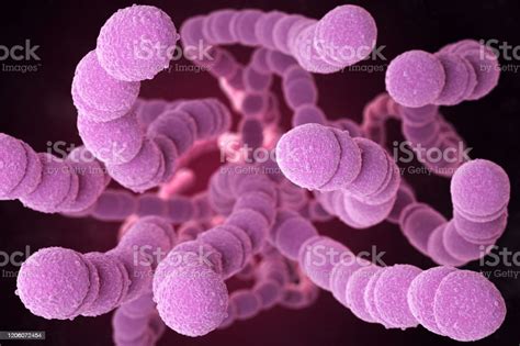 Streptococcus Pneumoniae Bakterien Stockfoto Und Mehr Bilder Von