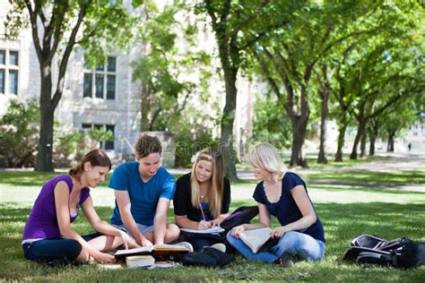 College Students Studying Together Royalty Free Stock Photos Image