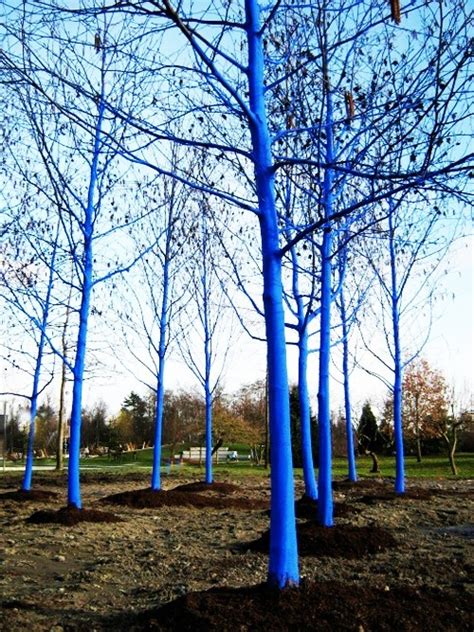 Painted Blue Trees Landscape Art Installation Art Blue Tree