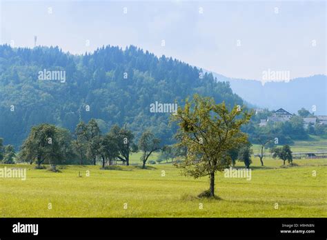 Beautiful Rolling Landscape On A Summers Day Stock Photo Alamy