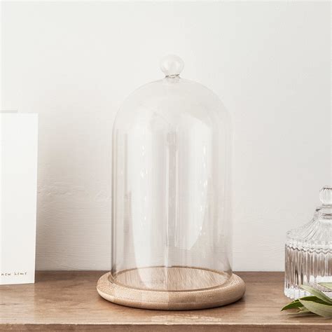 Regular Glass Dome Bell Jar 20cm Uk