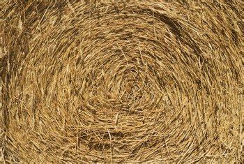 How To Keep Grass Seed From Washing Away On A Hill - How To Keep Seeds From Washing Away