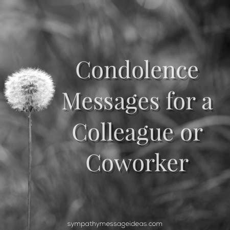 Condolence Messages For Colleagues Coworkers Sympathy Card