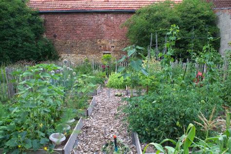 Gartenarbeit Im Juli Eine To Do Liste Wildes Gartenherz